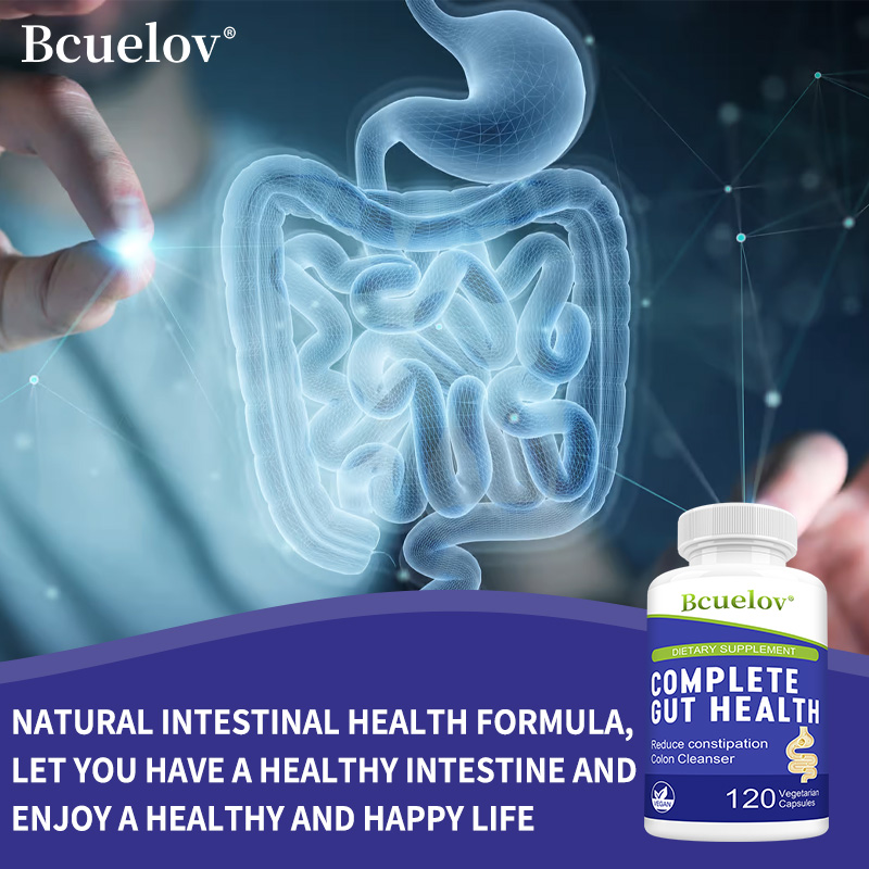 Gut Health Capsules - Ginger D - Dandelion Detox Tea avis et prix